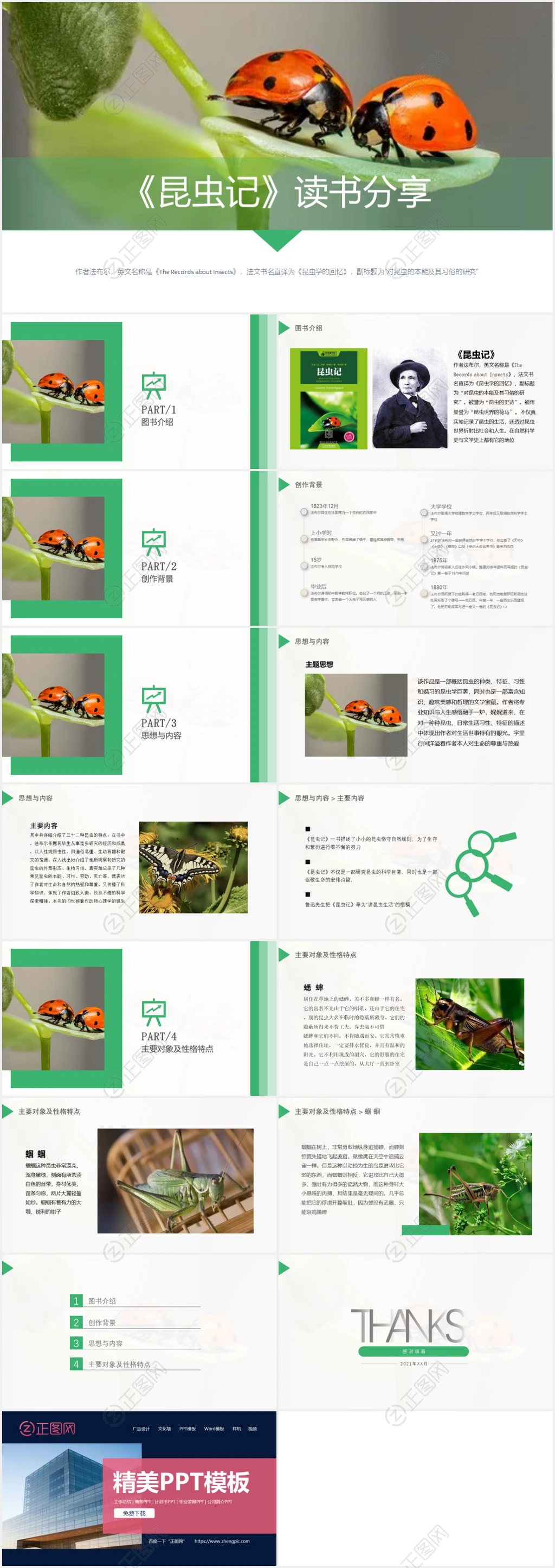 昆虫记读书分享ppt课件下载