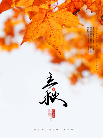 枫叶立秋海报图片