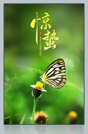 绿色背景蝴蝶图片惊蛰节气海报