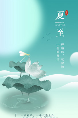 大气简约夏至海报图片
