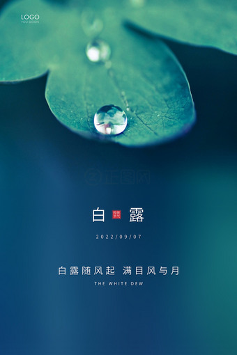 白露海报