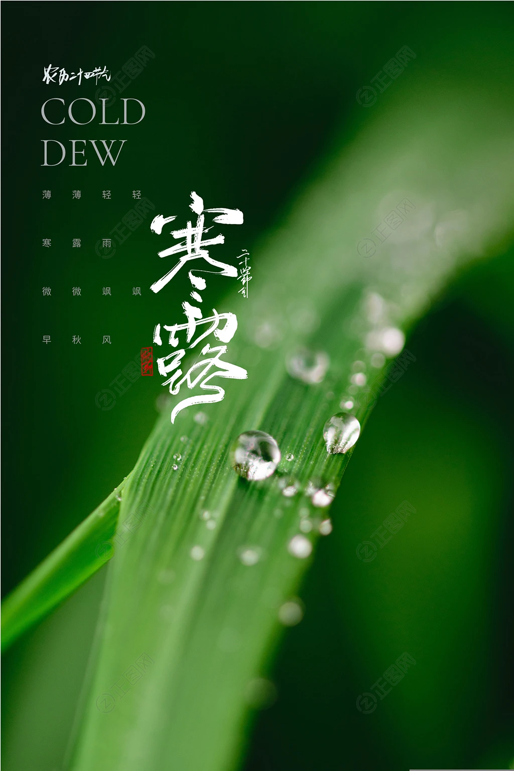 寒露二十四节气海报 寒露二十四节气海报