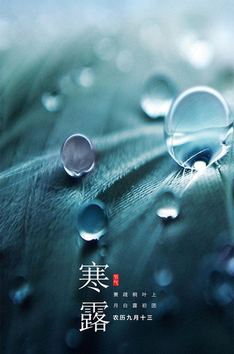 蓝色风寒露节气移动端海报