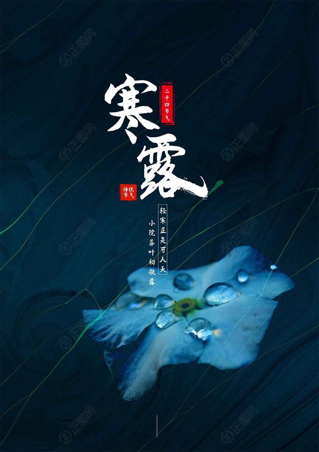寒露二十四节气海报 寒露二十四节气海报