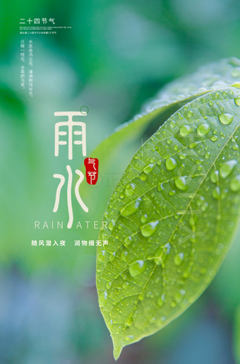 雨水海报图片
