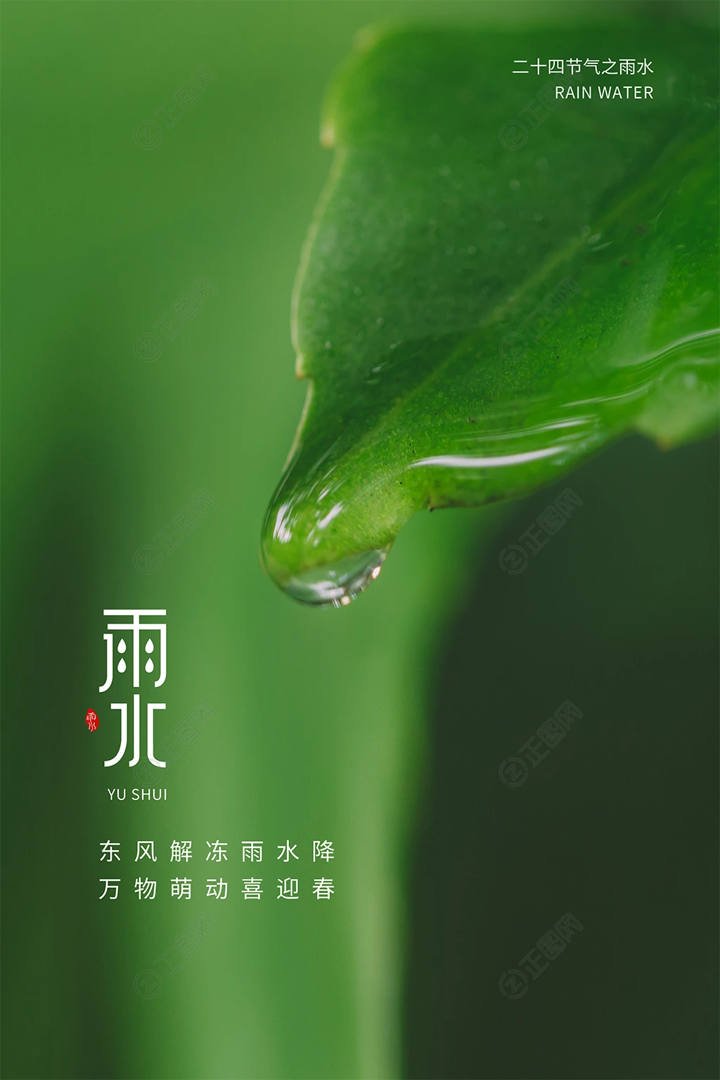 二十四节气雨水海报 二十四节气雨水海报