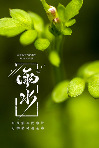 绿色小清新雨水节气海报