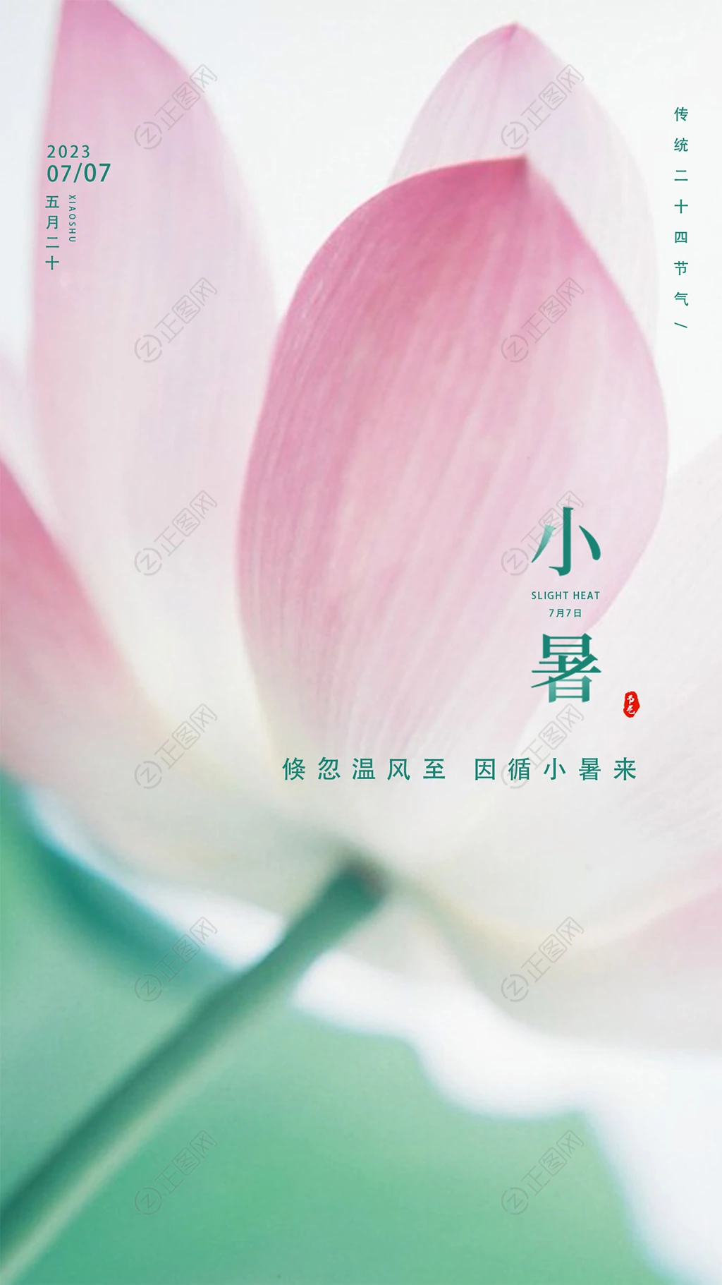 荷花背景小暑海报图片 荷花背景小暑海报图片