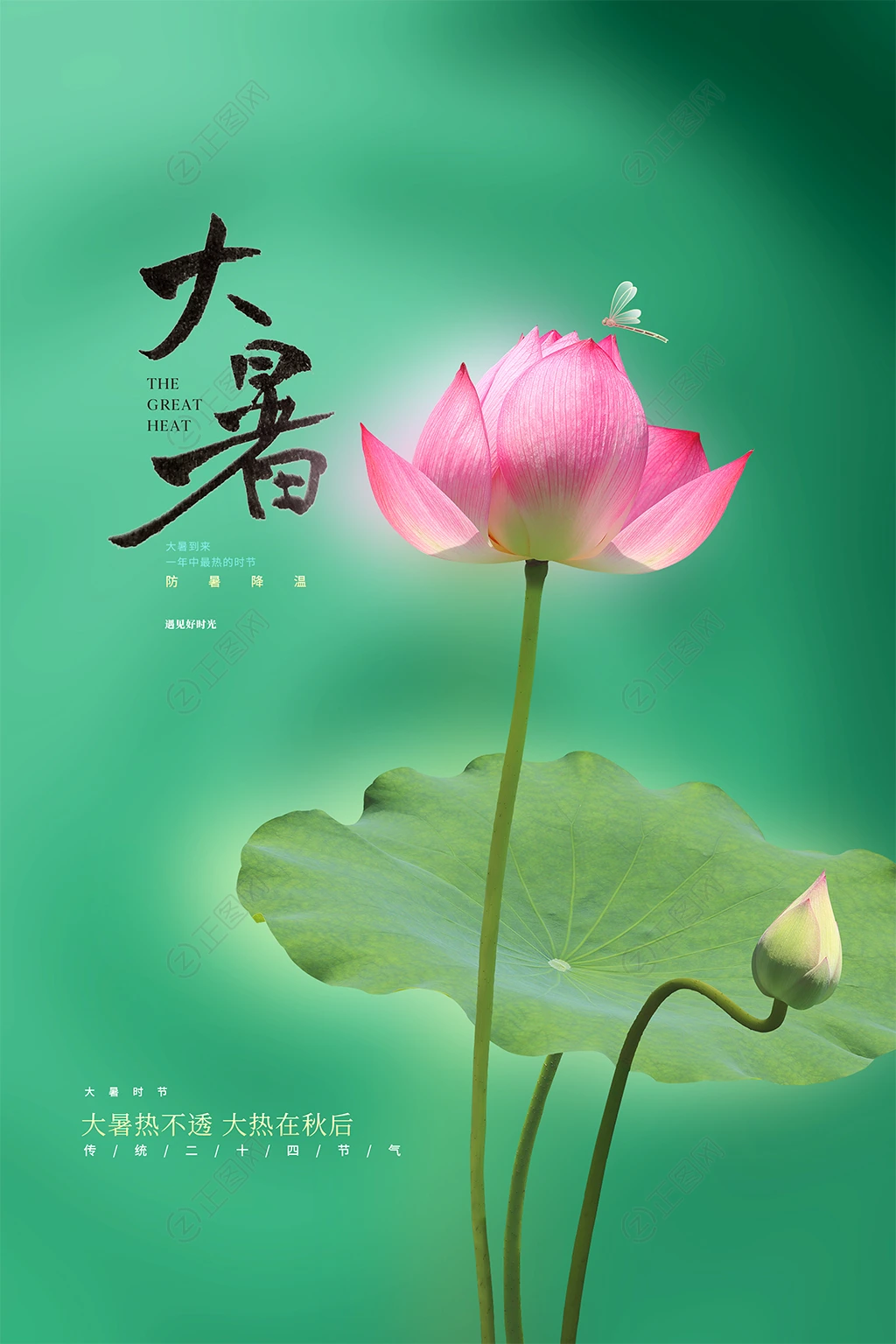 荷花背景大暑海报 荷花背景大暑海报