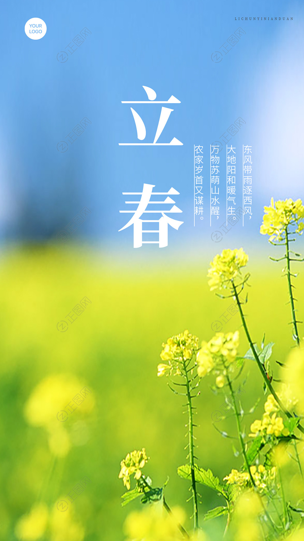 油菜花背景立春节气海报