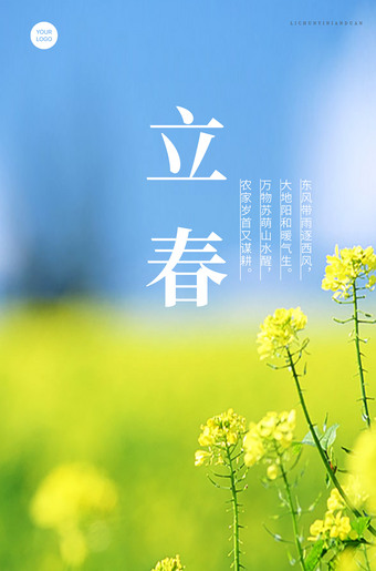 油菜花背景立春节气海报
