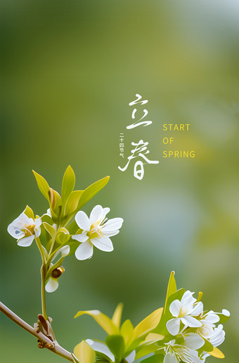 立春海报图片