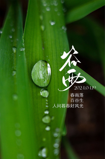 谷雨海报节气图片