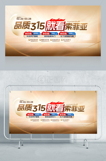 品质315就看索菲亚海报