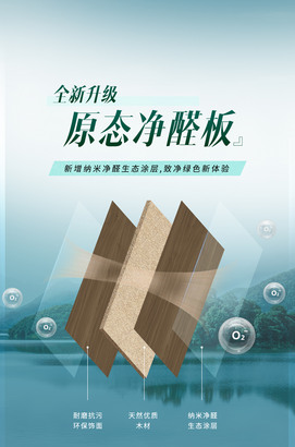 原态净醛板板材介绍广告海报图片