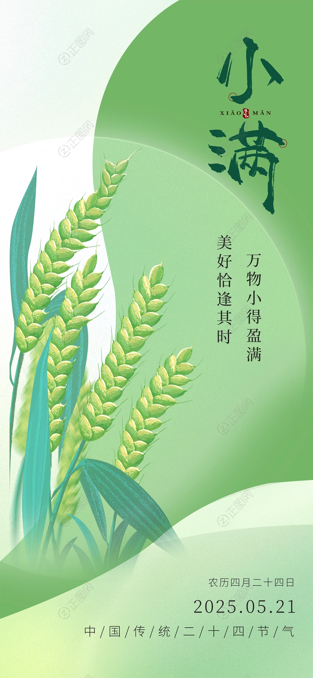 绿色小麦背景二十四节气小满海报图 绿色小麦背景二十四节气小满海报图