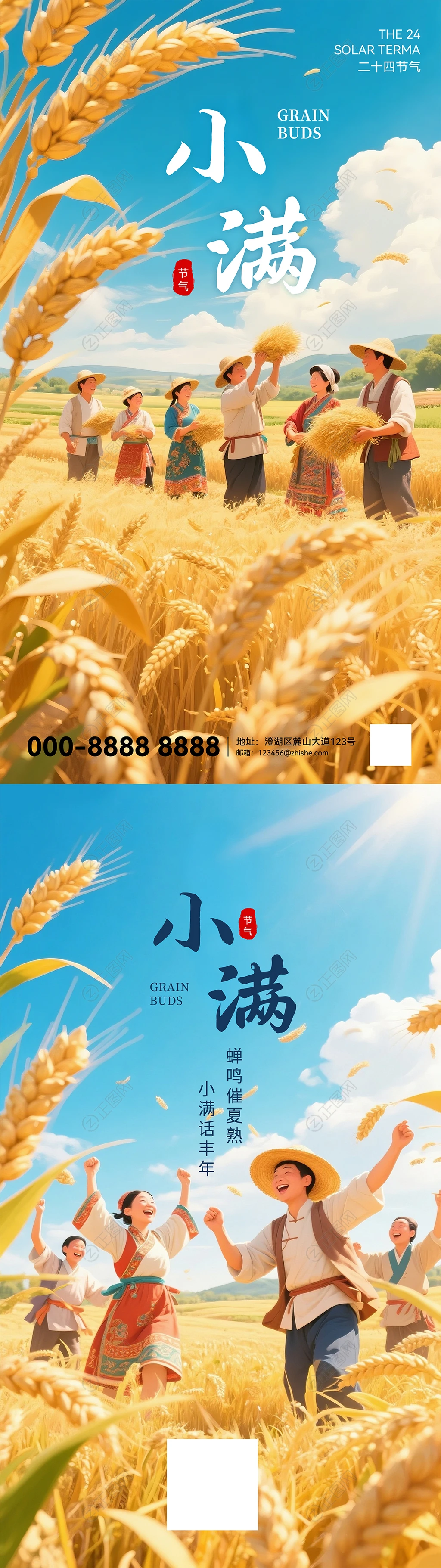 小满节气系列海报 小满节气系列海报
