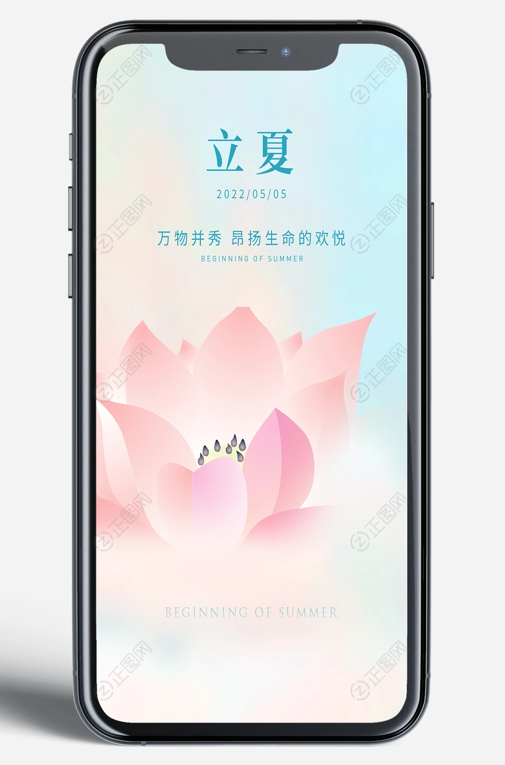 淡雅荷花立夏手机移动端海报图片 淡雅荷花立夏手机移动端海报图片