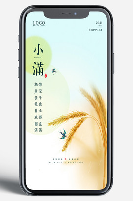 麦穗二十四节气小满移动端手机海报