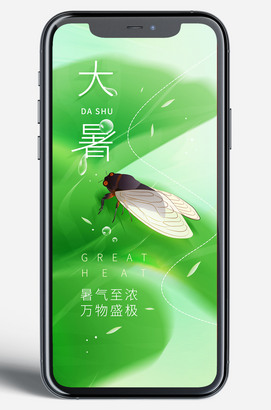 蝉知了插画大暑海报
