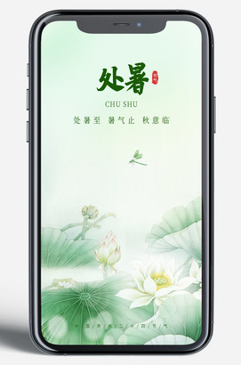 荷叶处暑移动端海报