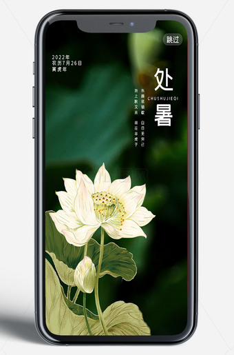 二十四节气之处暑手机朋友圈新媒体海报