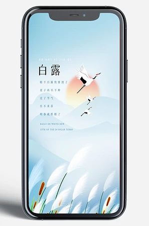 白露节气移动端海报