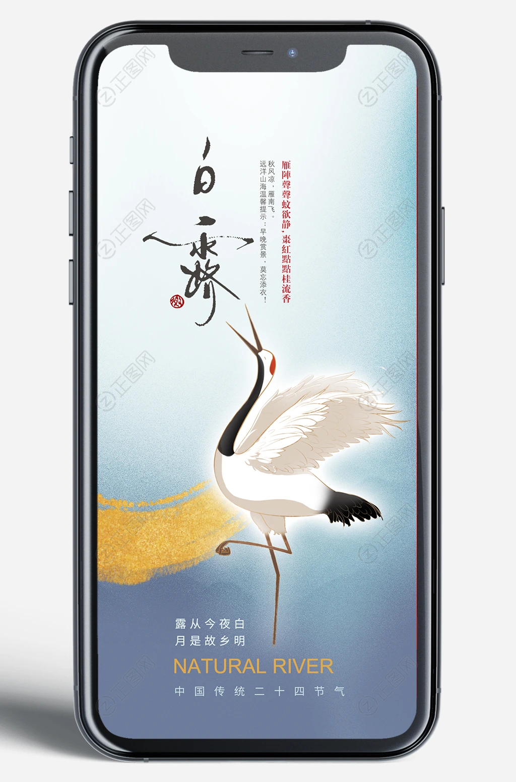 二十四节气白露移动端海报 二十四节气白露移动端海报