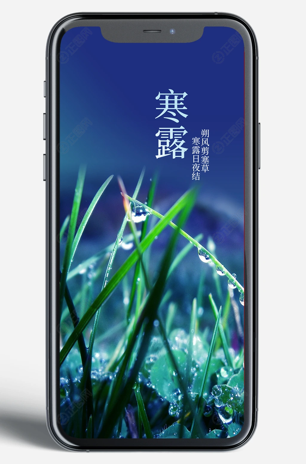 二十四节气寒露海报新媒体手机图片 二十四节气寒露海报新媒体手机图片