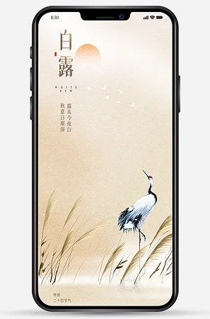 白露海报图片