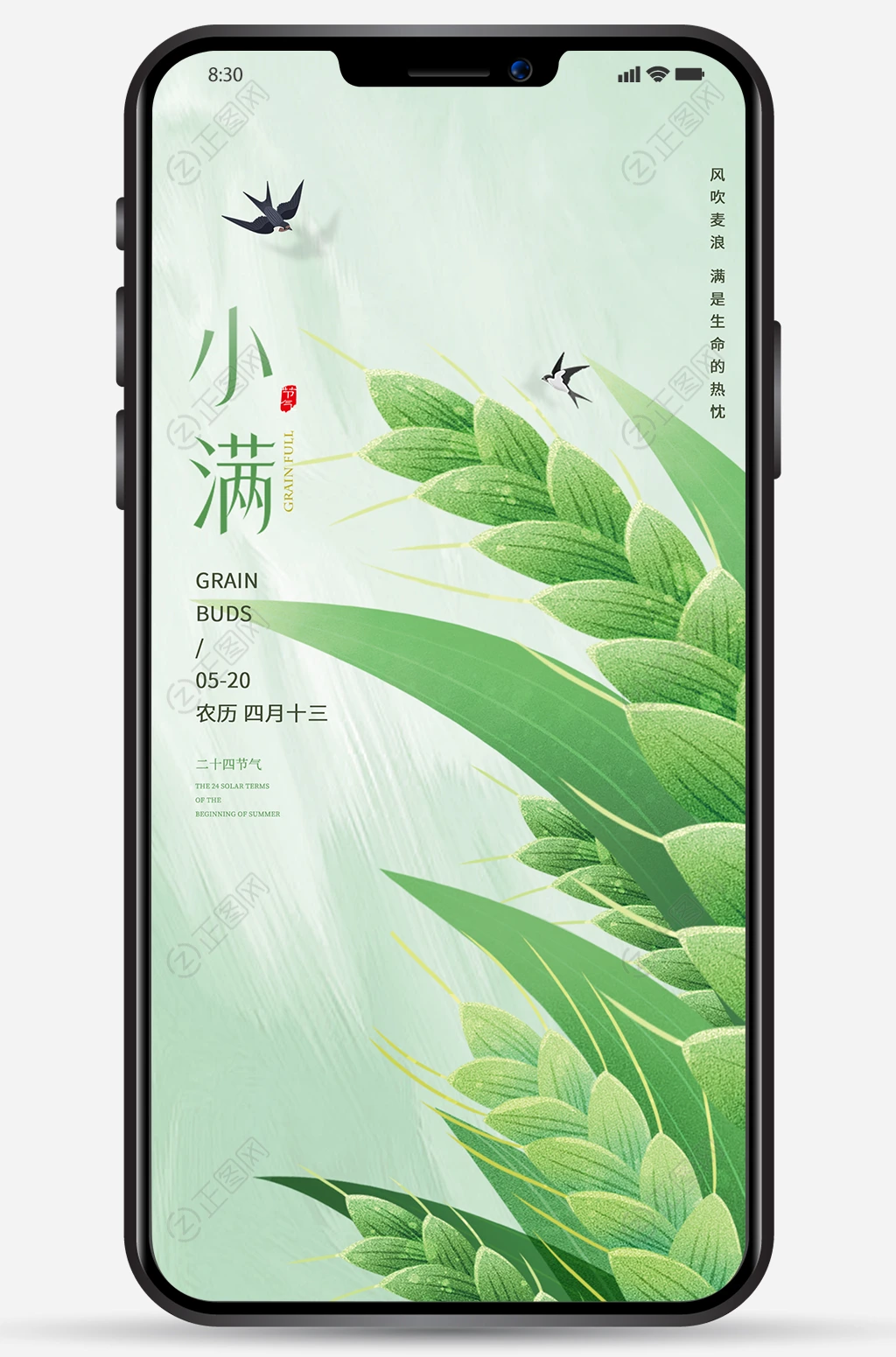 小满 小满