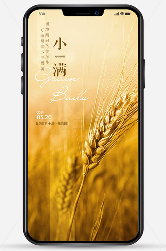 金色小麦小满海报图片