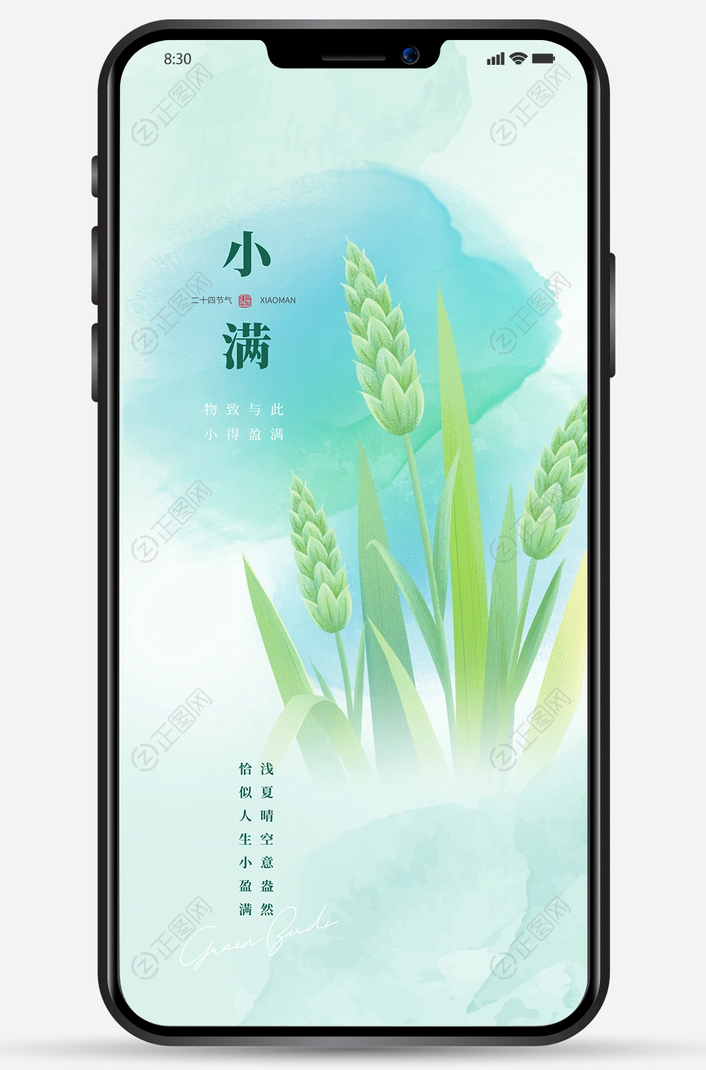 二十四节气小满海报 二十四节气小满海报