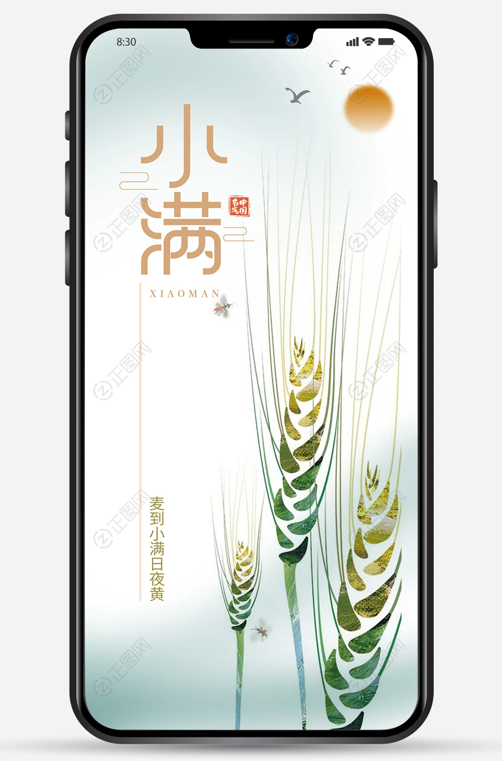 简洁小满海报朋友圈图片 简洁小满海报朋友圈图片