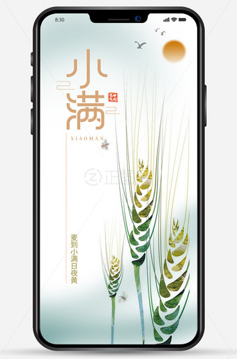 简洁小满海报朋友圈图片