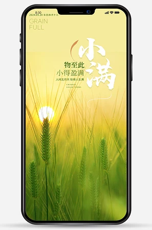 二十四节气小满海报
