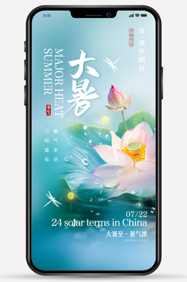 荷花背景大暑海报