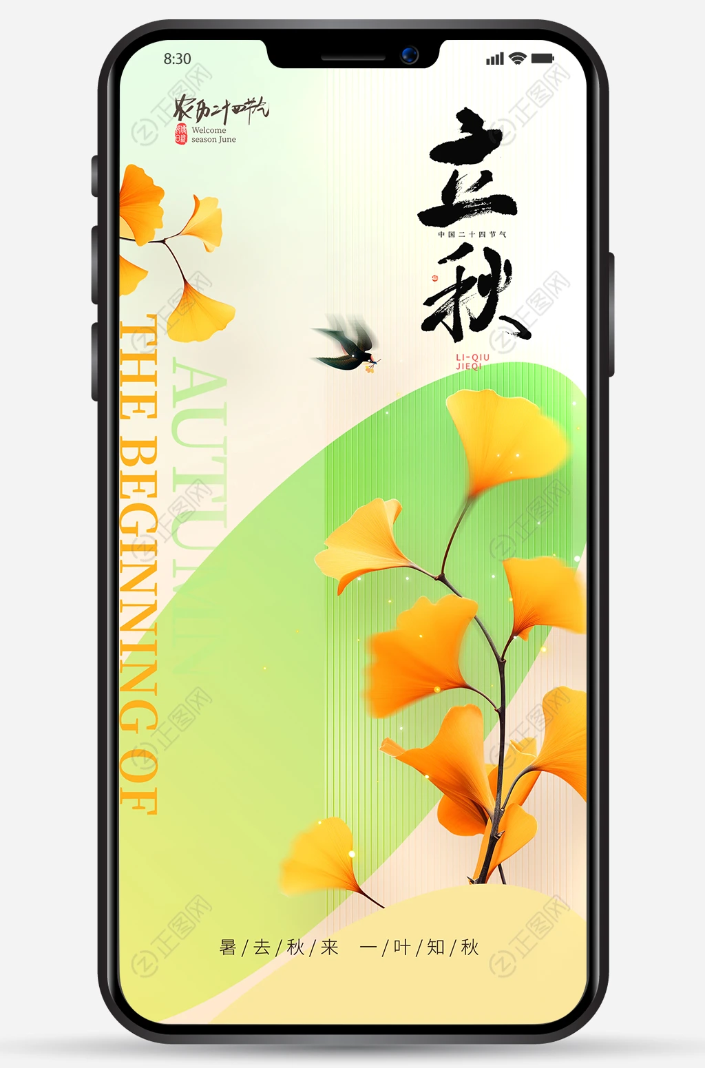 立秋图片 立秋图片