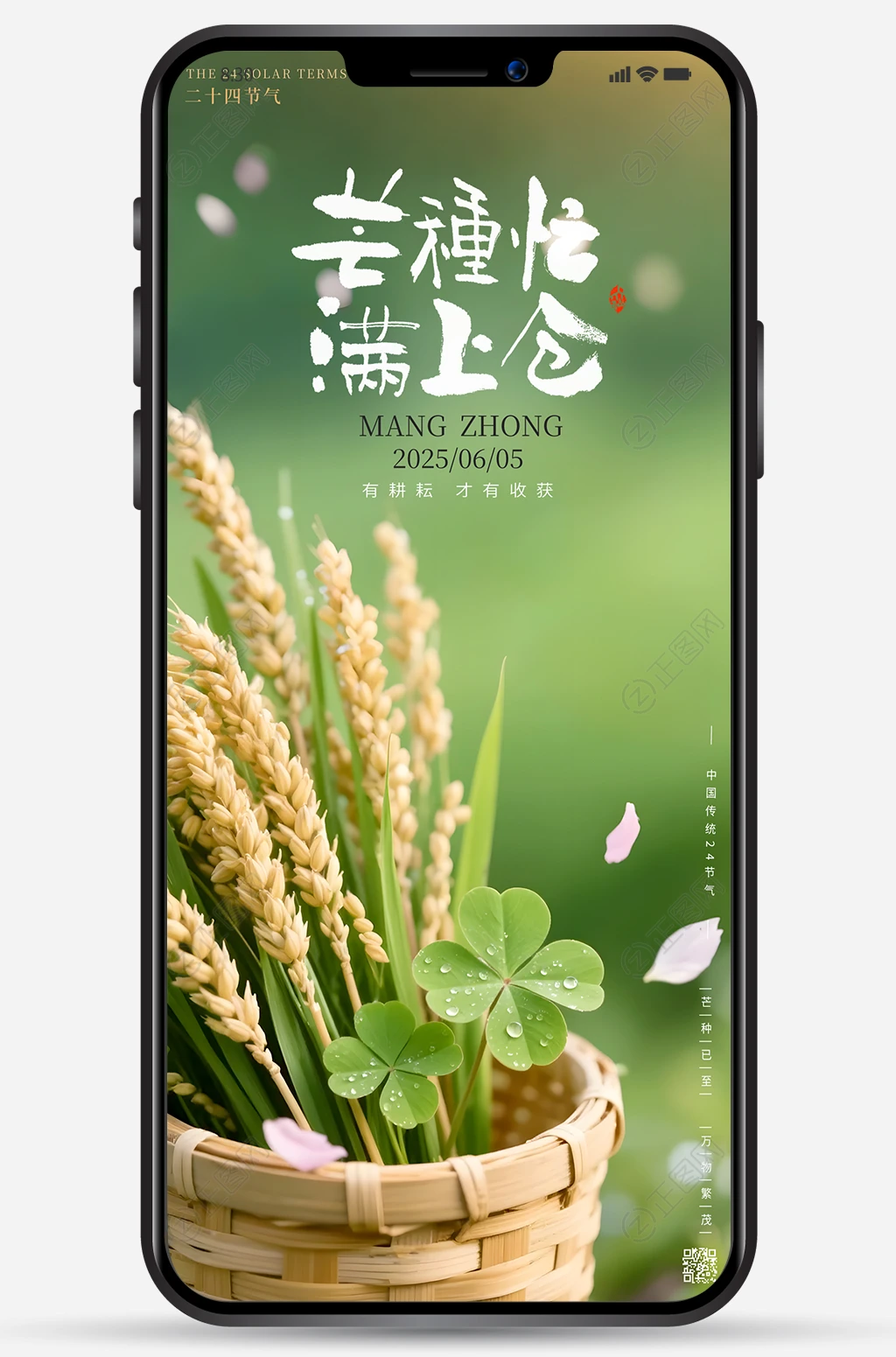 芒种节气海报 芒种节气海报