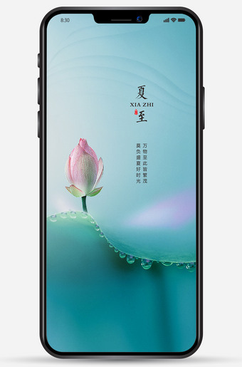 荷花背景夏至朋友圈图片