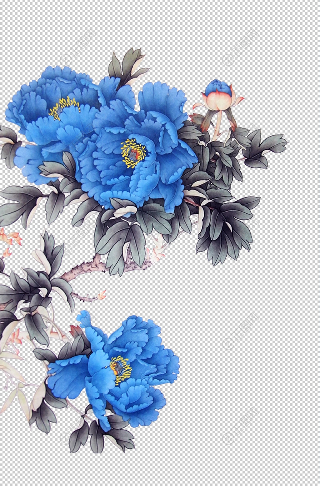 蓝色牡丹花素材 蓝色牡丹花素材
