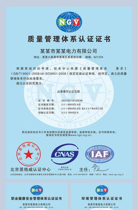 NGV质量管理体系认证证书/环境/职业健康安全管理体系
