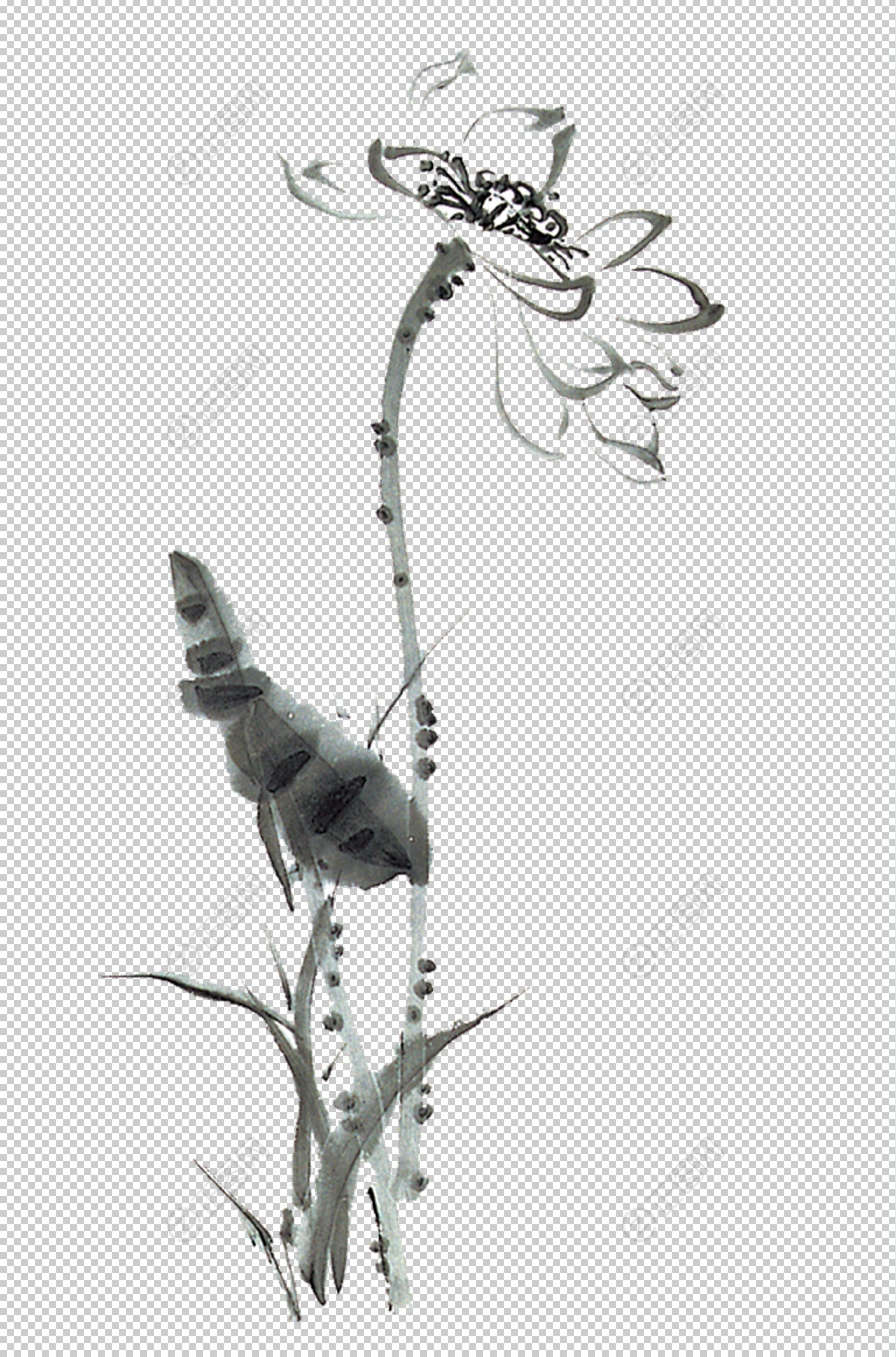 水墨莲花图片 水墨莲花图片