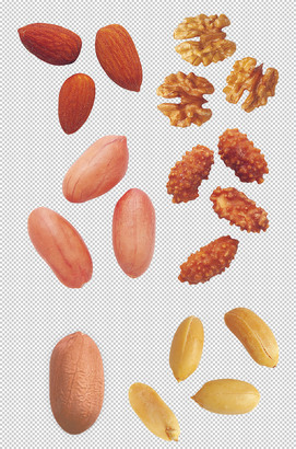 核桃花生坚果png图片