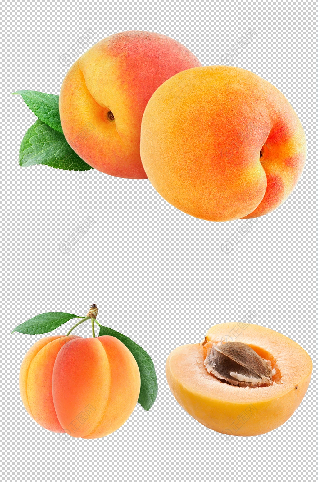 杏素材 杏素材