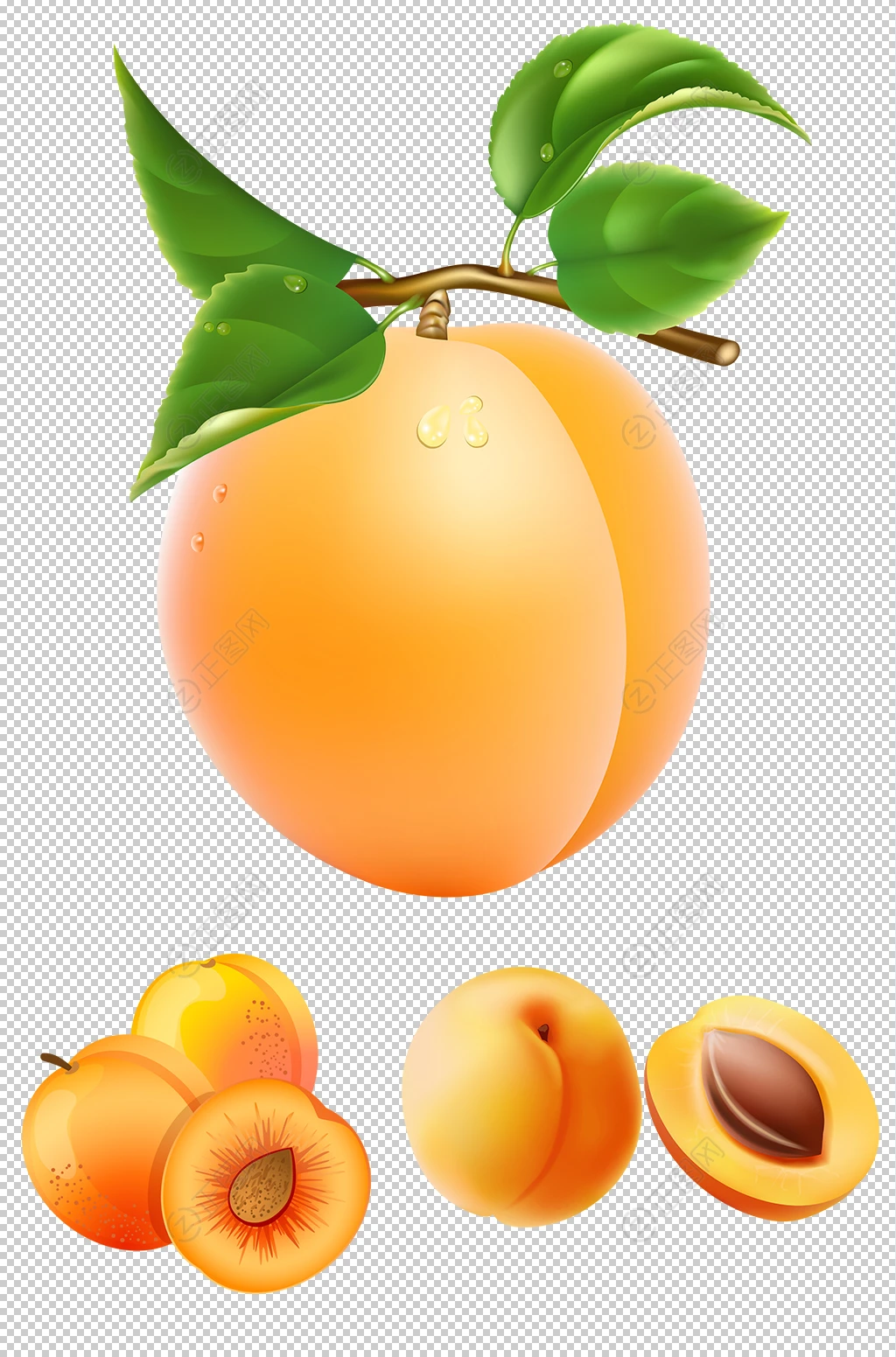 杏子png素材 杏子png素材