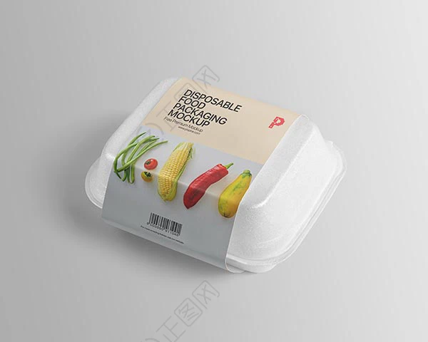 一次性外卖快餐食品盒包装样机 一次性外卖快餐食品盒包装样机