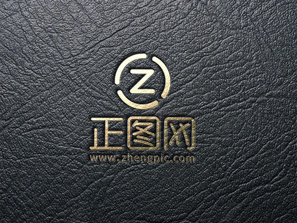封面黑色皮质logo样机 封面黑色皮质logo样机