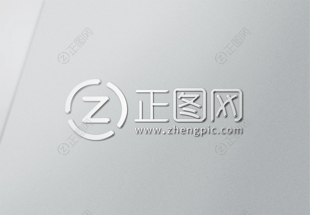 银色logo样机素材