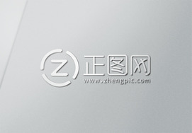 银色logo样机素材
